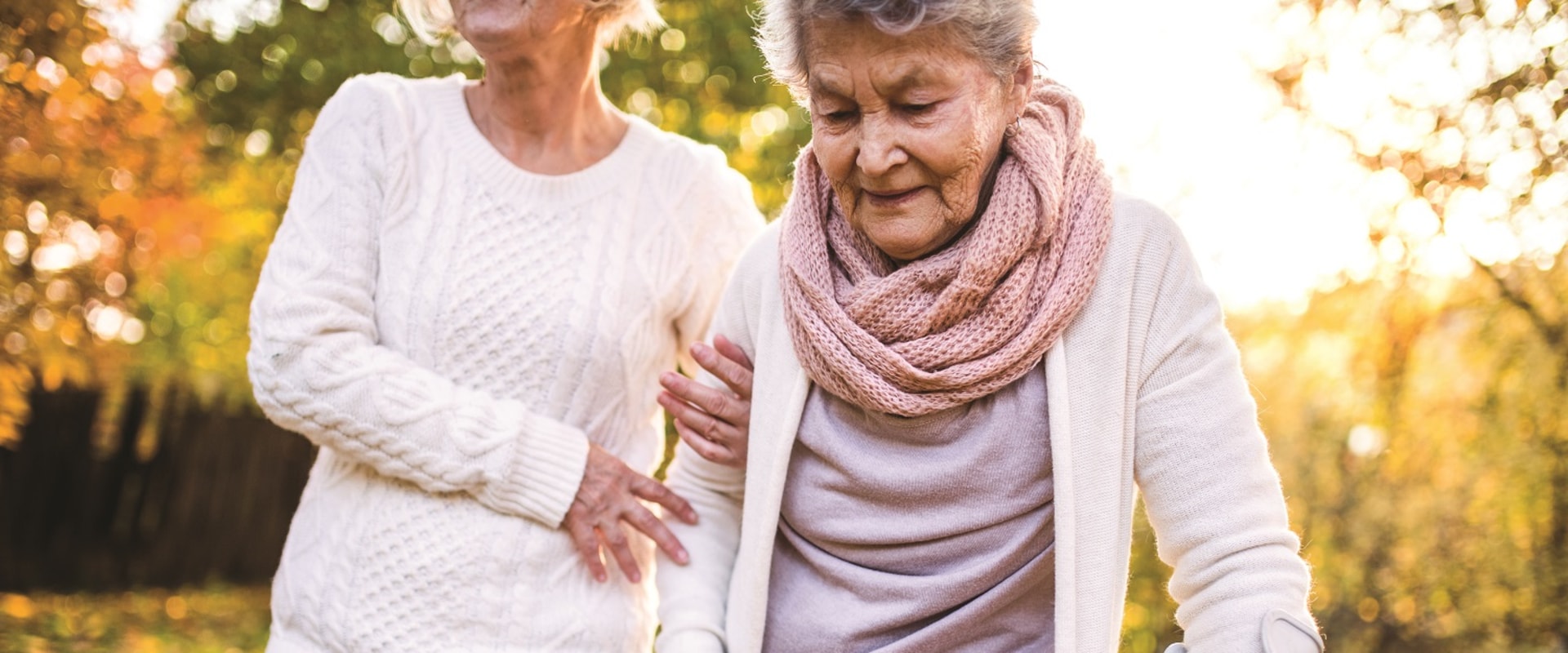 Improving Quality of Life for the Elderly and Disabled